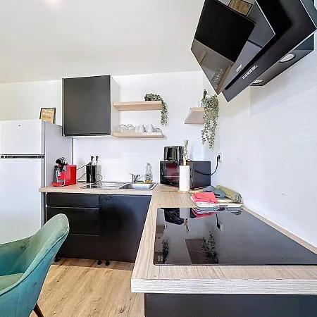 Cocon Cosy Proche Aeroport Equipe Aulnat3 *